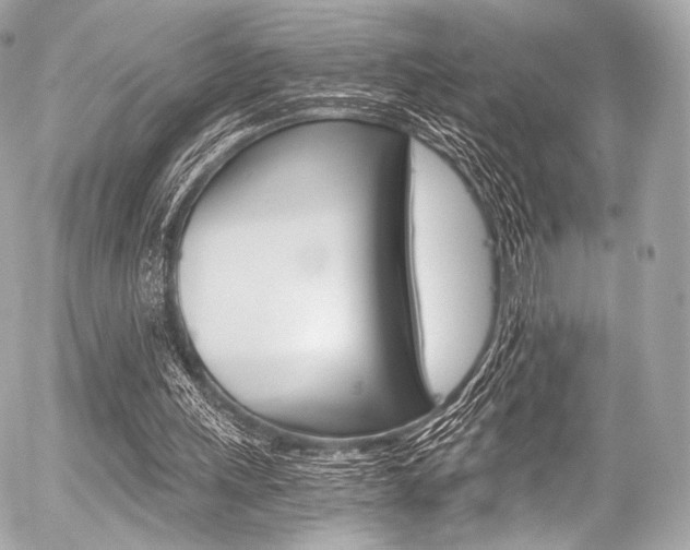 X0000056380243200508260953