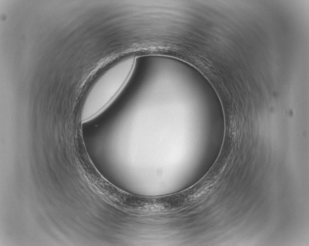 X0000056380256200508260953