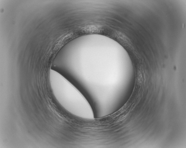 X0000056380259200508260953