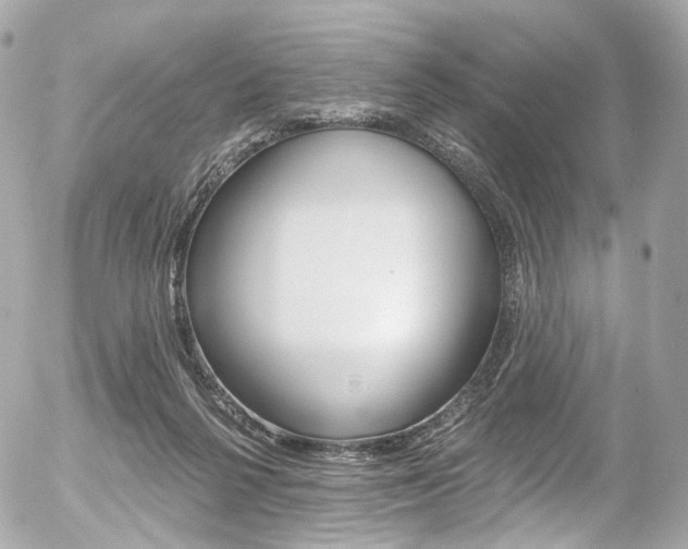 X0000056380264200508260953