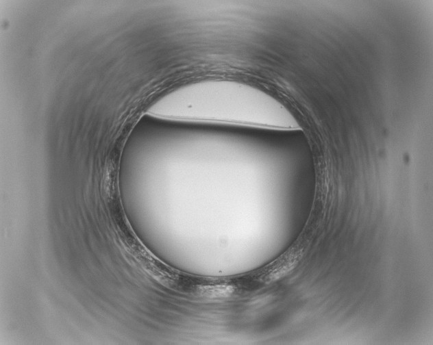 X0000056380266200508260953