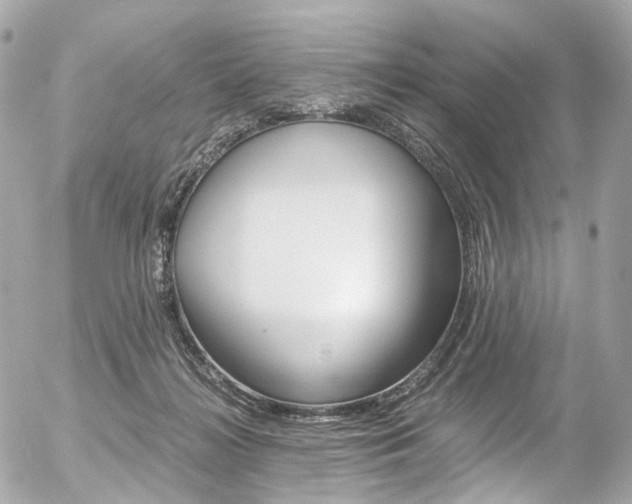X0000056380268200508260953