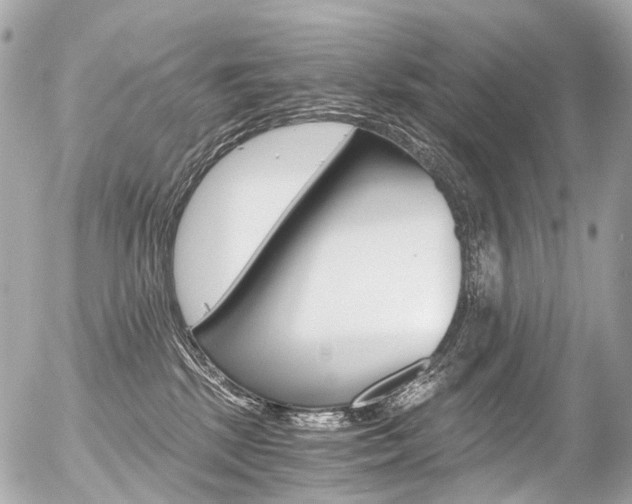 X0000056380281200508260953