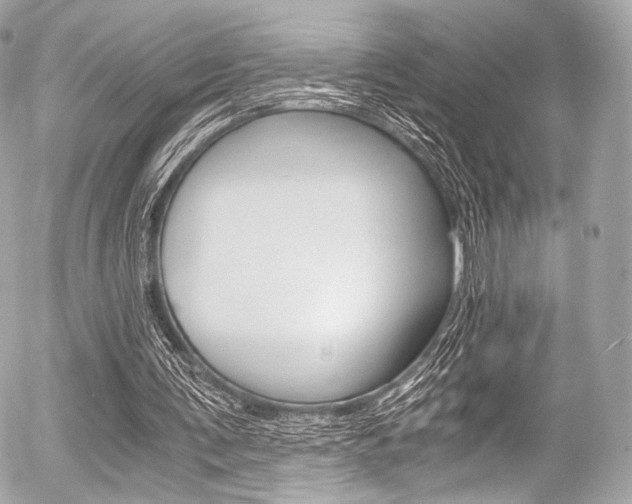 X0000056380291200508260953