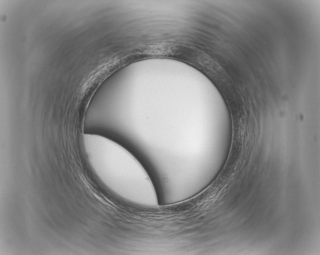 X0000056380303200508260952