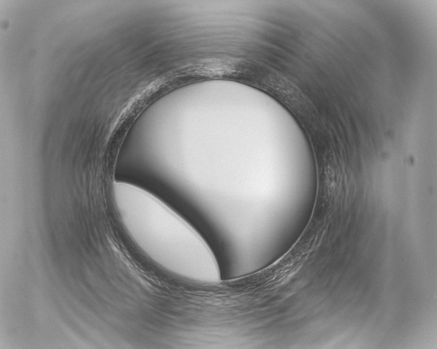 X0000056380304200508260952
