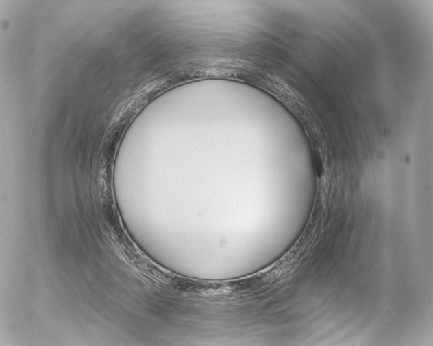 X0000056380306200508260952