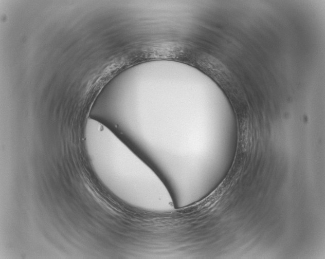 X0000056380310200508260952
