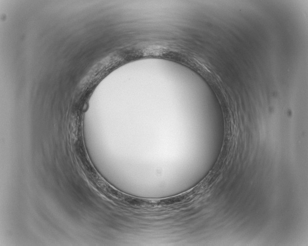 X0000056380311200508260952
