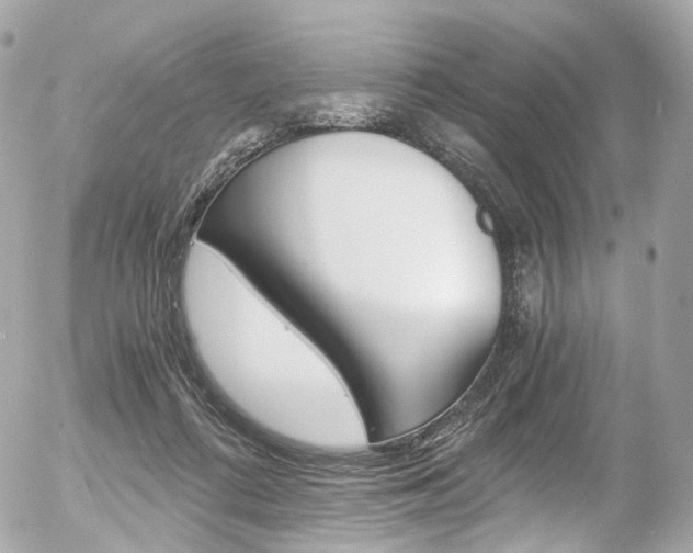 X0000056380312200508260952