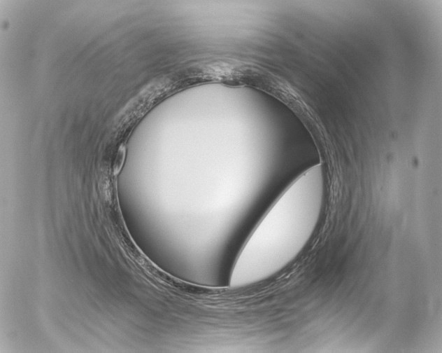 X0000056380313200508260952