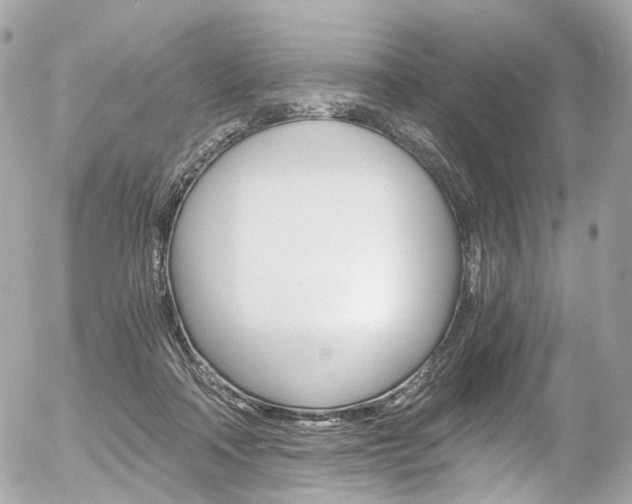 X0000056380314200508260952