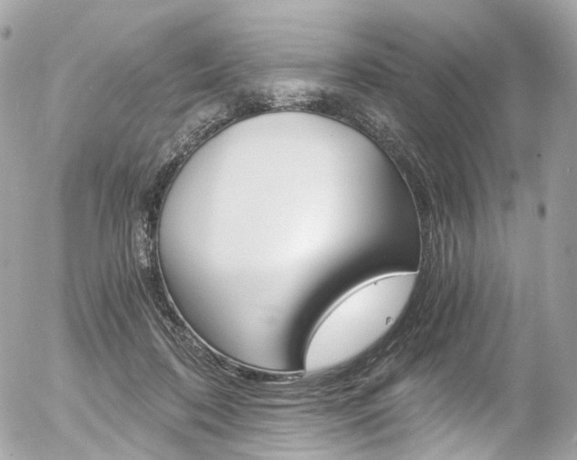 X0000056380316200508260952