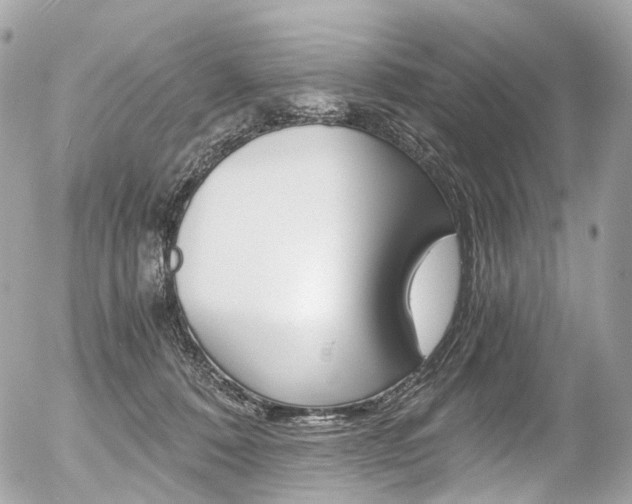 X0000056380320200508260952