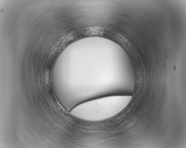 X0000056380326200508260952