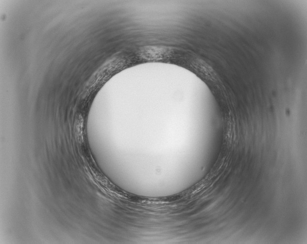 X0000056380332200508260952