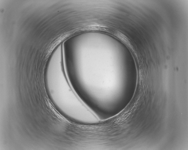 X0000056380389200508260951