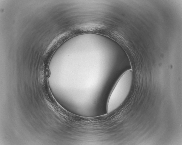 X0000056380400200508260951