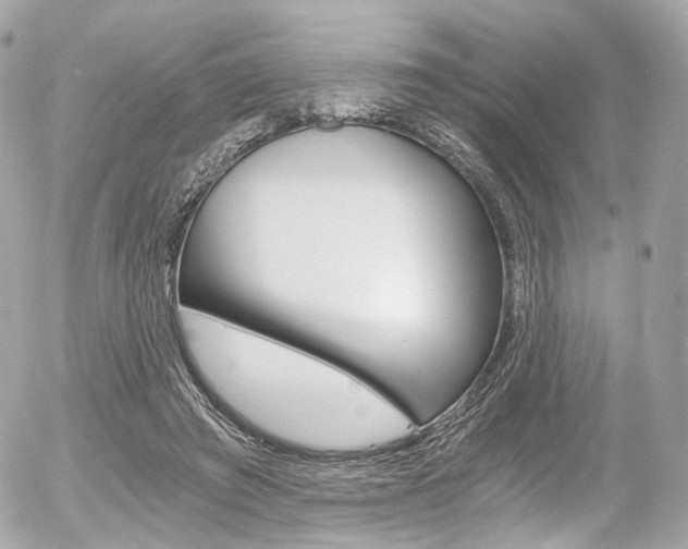 X0000056380401200508260951