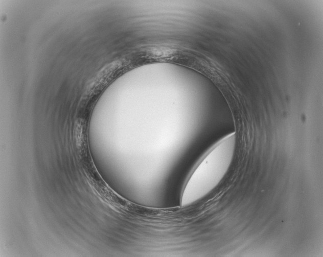 X0000056380412200508260951