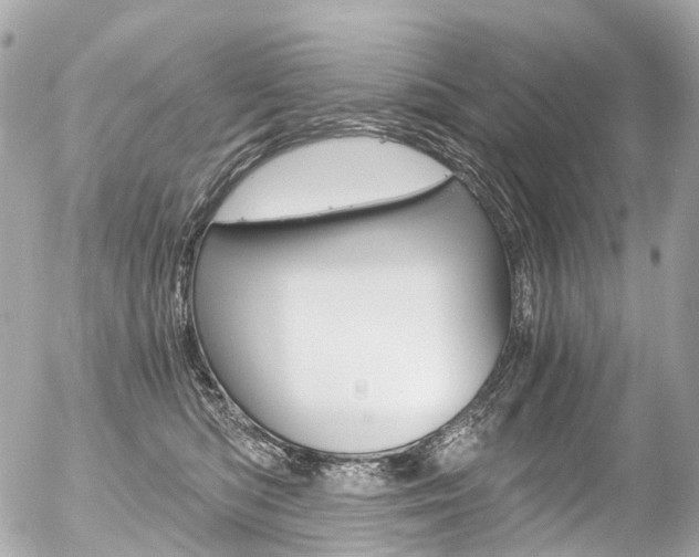 X0000056380422200508260950