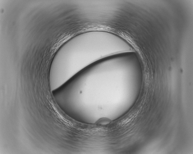 X0000056380433200508260950