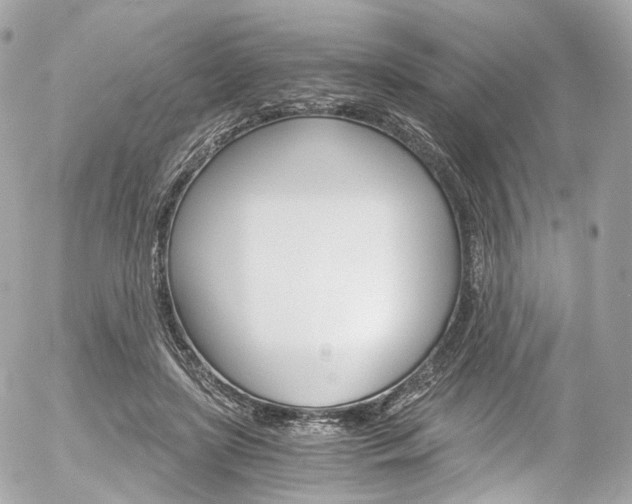X0000056380451200508260950