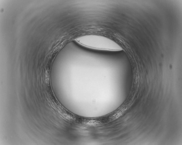 X0000056380467200508260950
