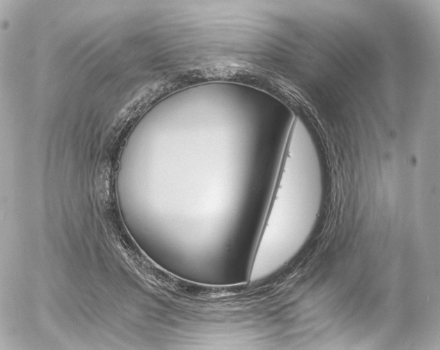 X0000056380501200508260949