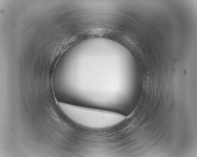 X0000056380504200508260949