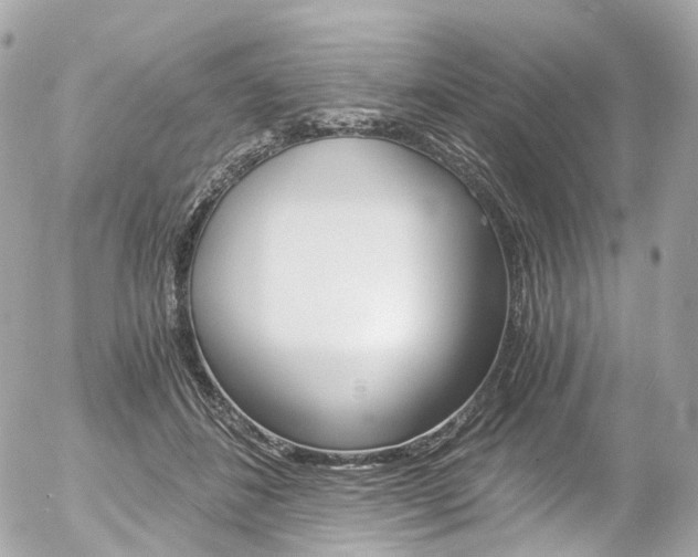 X0000056380508200508260949