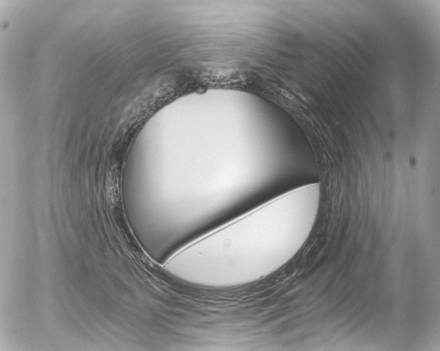 X0000056380515200508260949