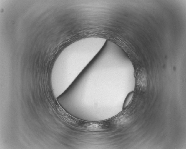 X0000056380518200508260949