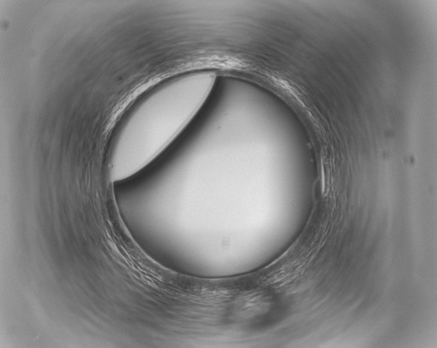 X0000056380531200508260948
