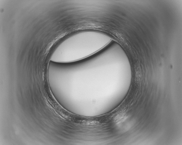 X0000056380539200508260948