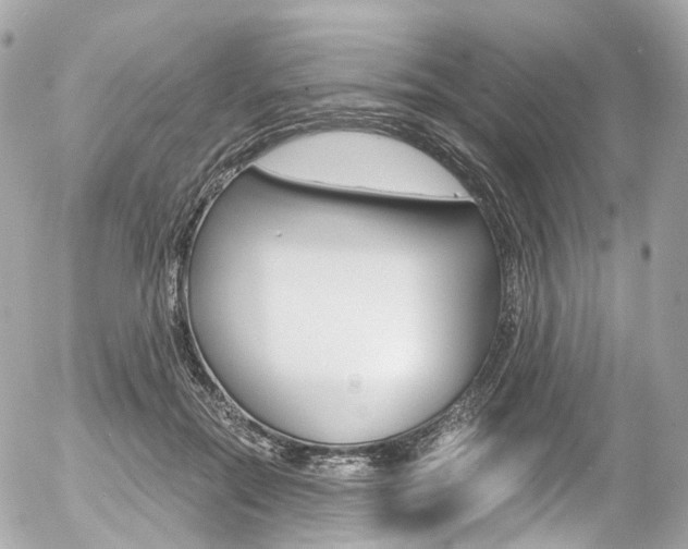 X0000056380554200508260948
