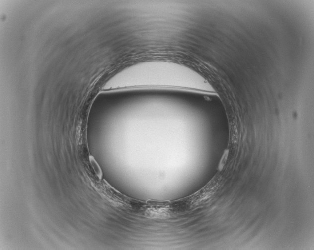 X0000056380560200508260948