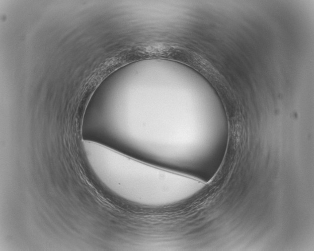 X0000056380593200508260948