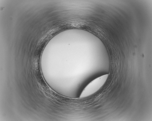 X0000056380595200508260948