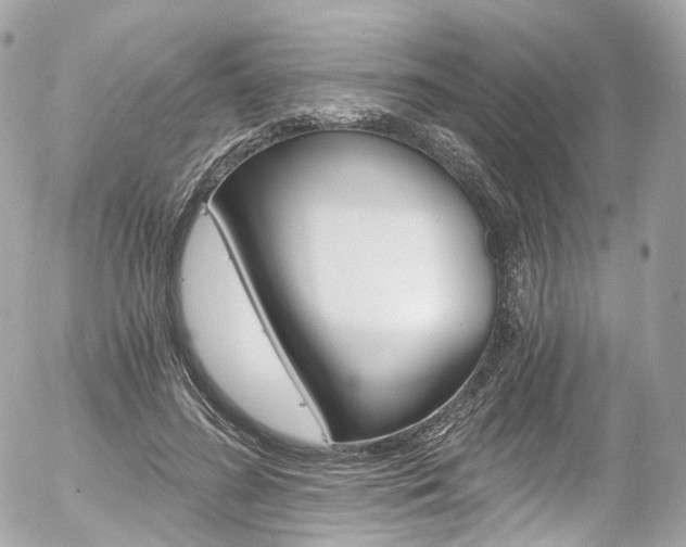 X0000056380596200508260948