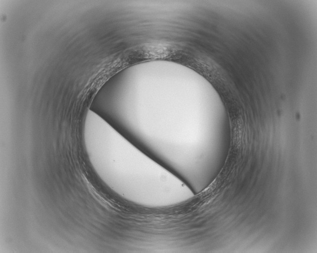 X0000056380598200508260948
