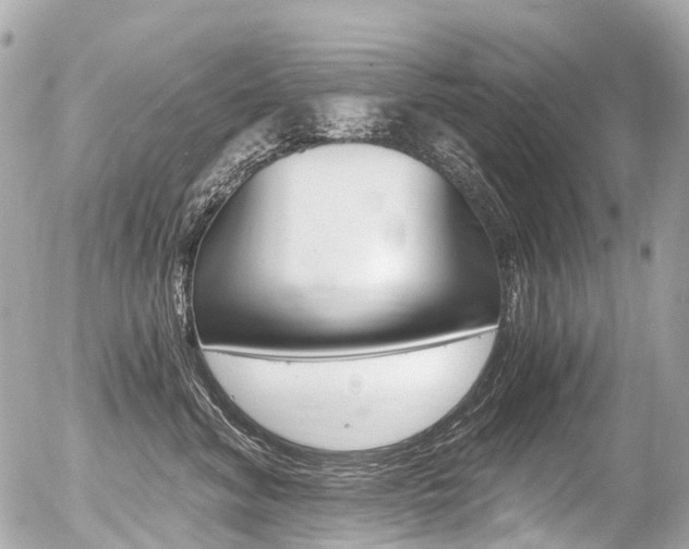 X0000056380620200508260947