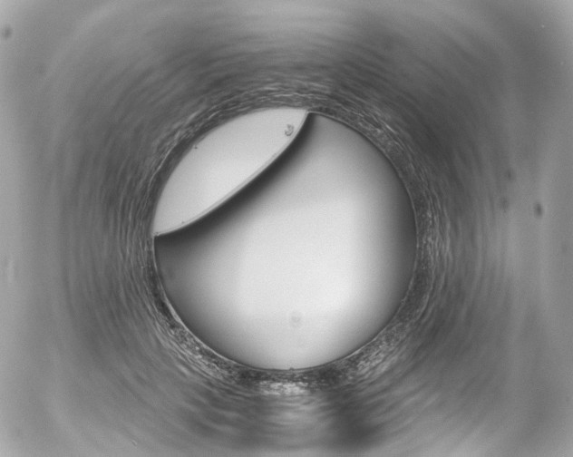 X0000056380649200508260947