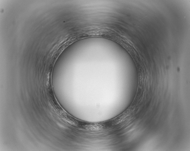 X0000056380652200508260947