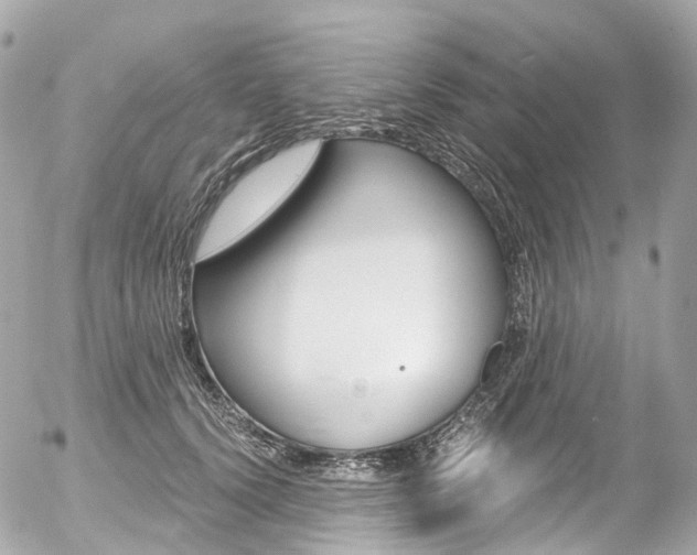 X0000056380656200508260947