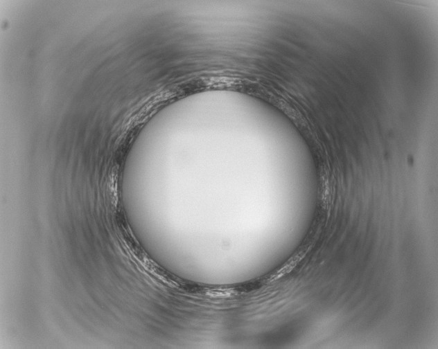 X0000056380666200508260947