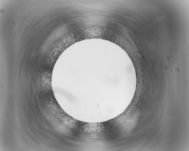 X0000056380672200508260947