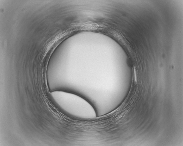 X0000056380675200508260946