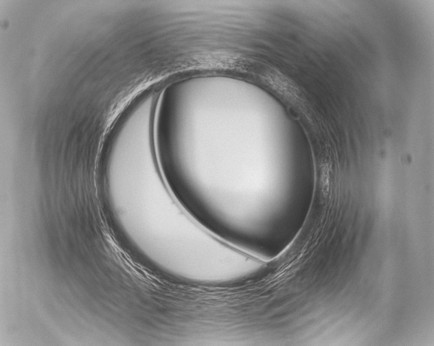 X0000056380676200508260946