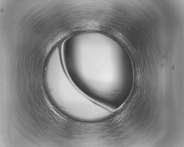 X0000056380677200508260946